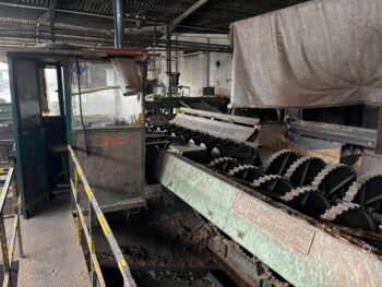 Colombo Cremona log debarking line