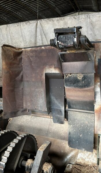 Colombo Cremona log debarking line